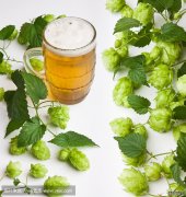 <b>How to add the hops during beer brewing?</b>