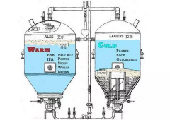 <b>Difference between Industry Beer and the Craft Beer on the fermentation process</b>