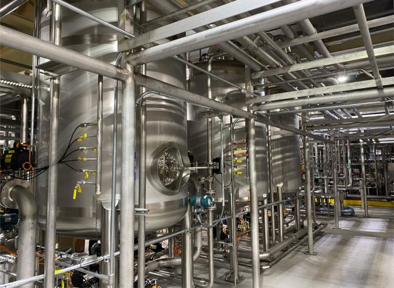 Solución llave en mano para un proyecto de vino de sandía