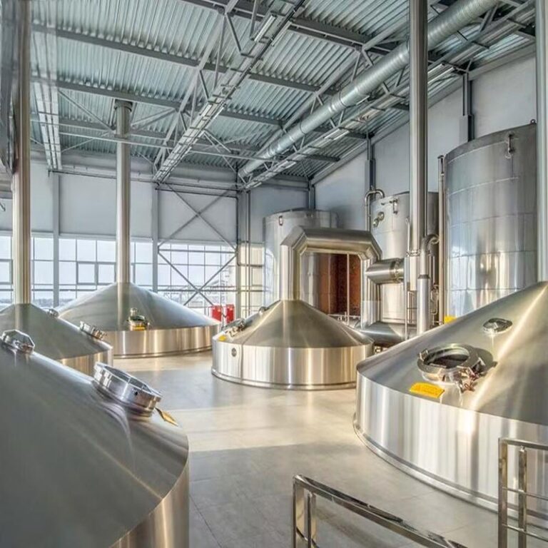 Salle de brassage industrielle (20)